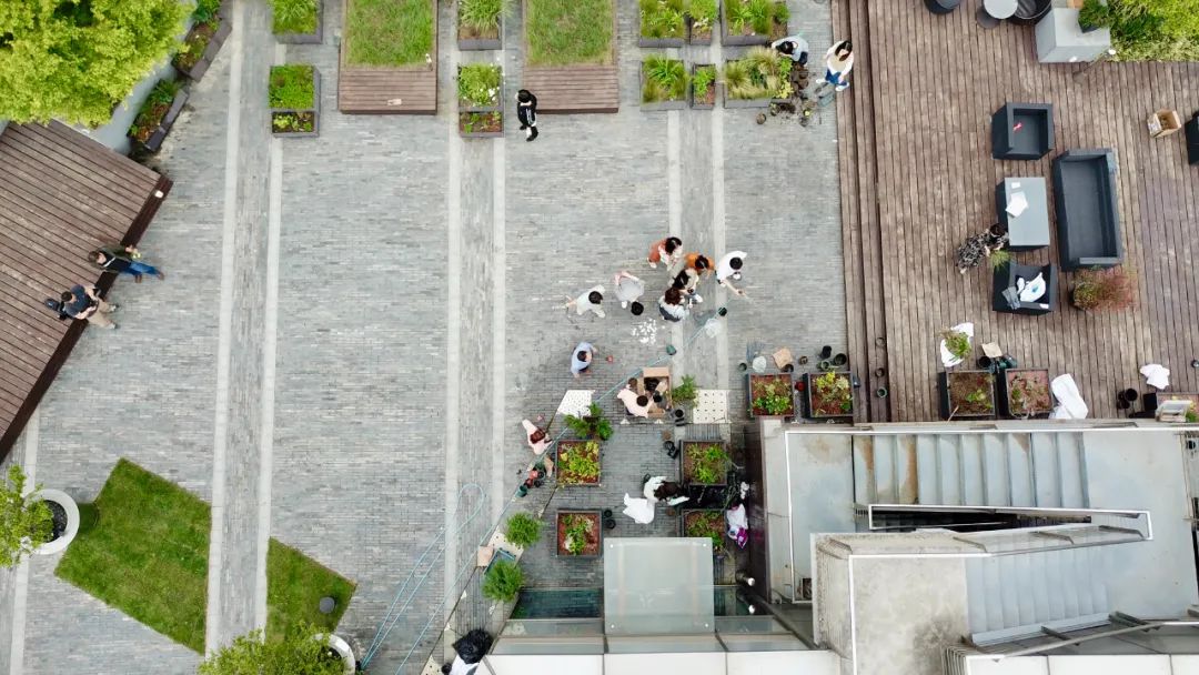 实习内外 · AECOM｜探访上海花园文化实践，从屋顶花园更新到社区花园节10.jpg