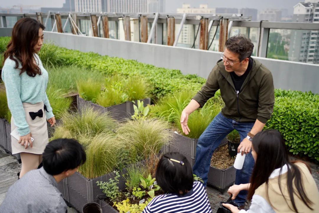 实习内外 · AECOM｜探访上海花园文化实践，从屋顶花园更新到社区花园节11.jpg
