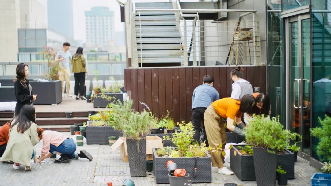 实习内外 · AECOM｜探访上海花园文化实践，从屋顶花园更新到社区花园节12.jpg