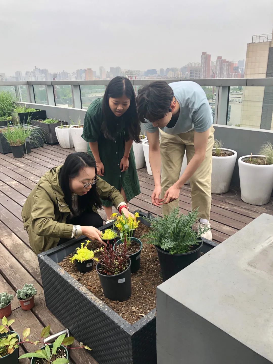 实习内外 · AECOM｜探访上海花园文化实践，从屋顶花园更新到社区花园节14.jpg