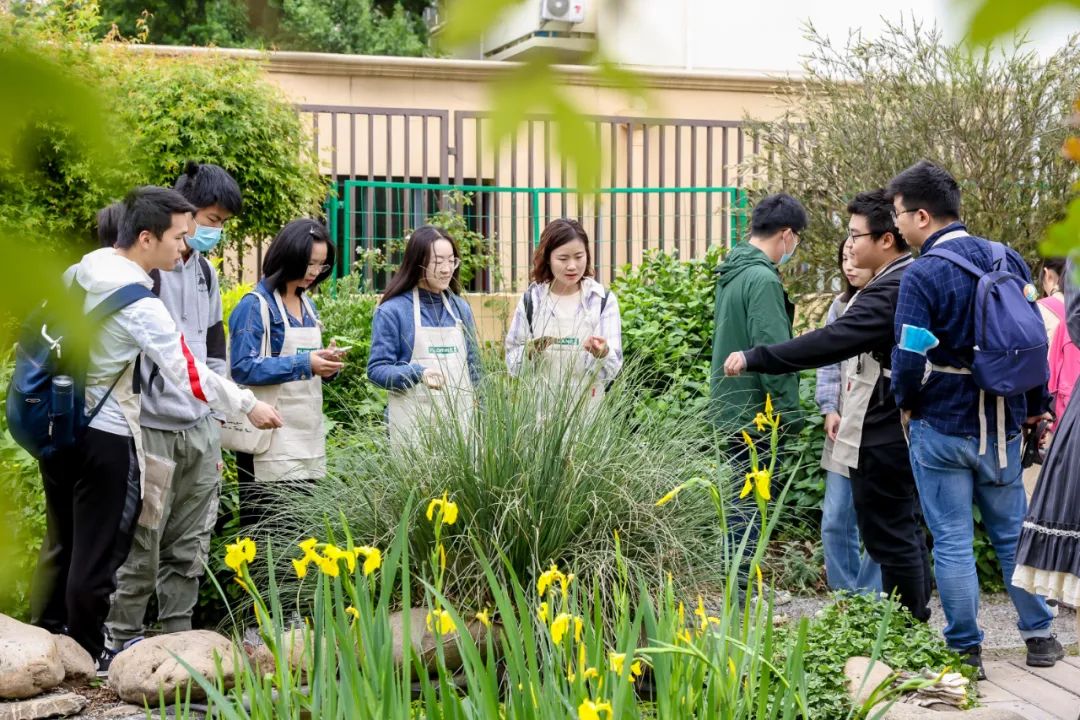 实习内外 · AECOM｜探访上海花园文化实践，从屋顶花园更新到社区花园节21.jpg