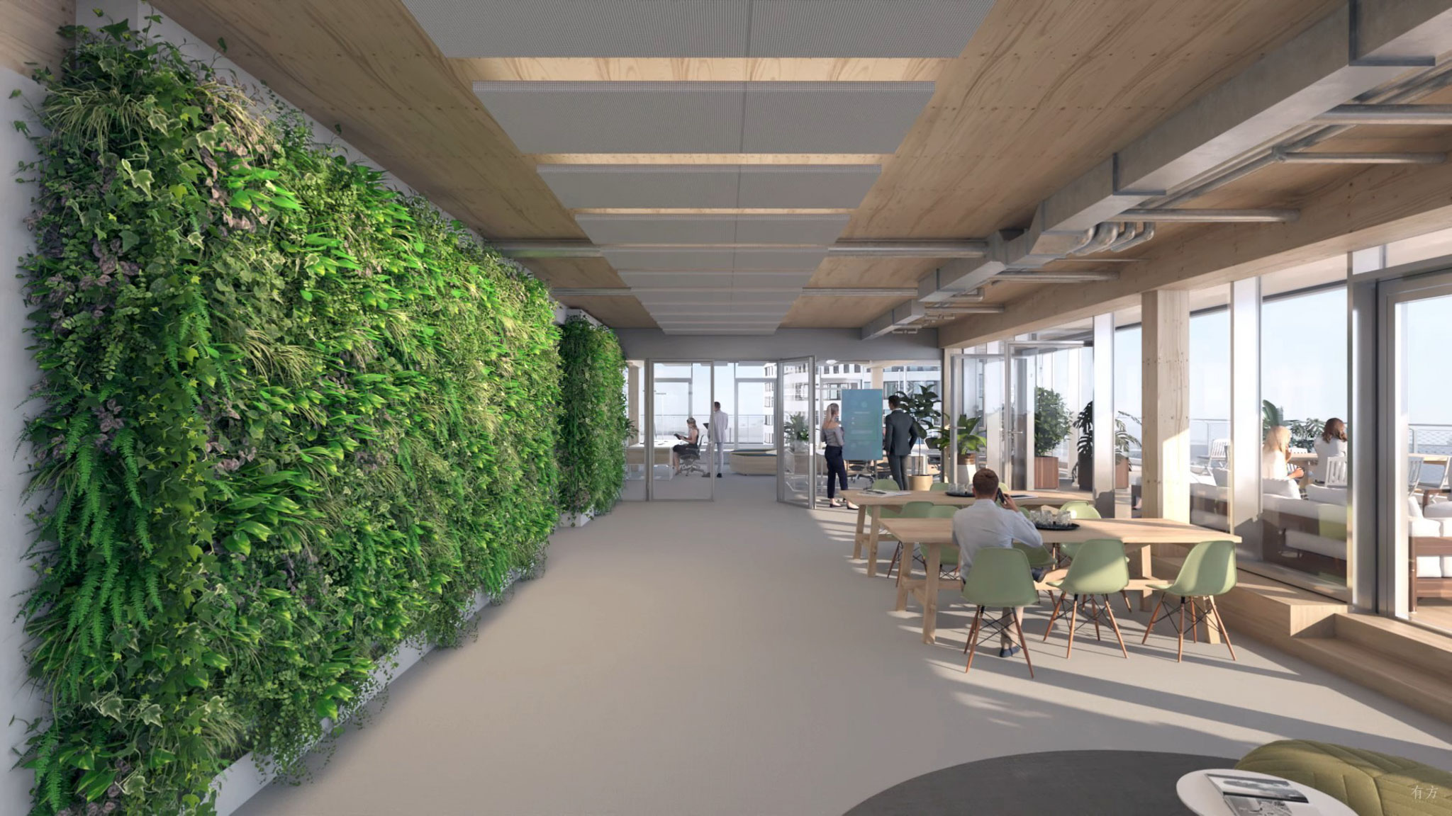 植物面墙净化空气©HPP.jpg