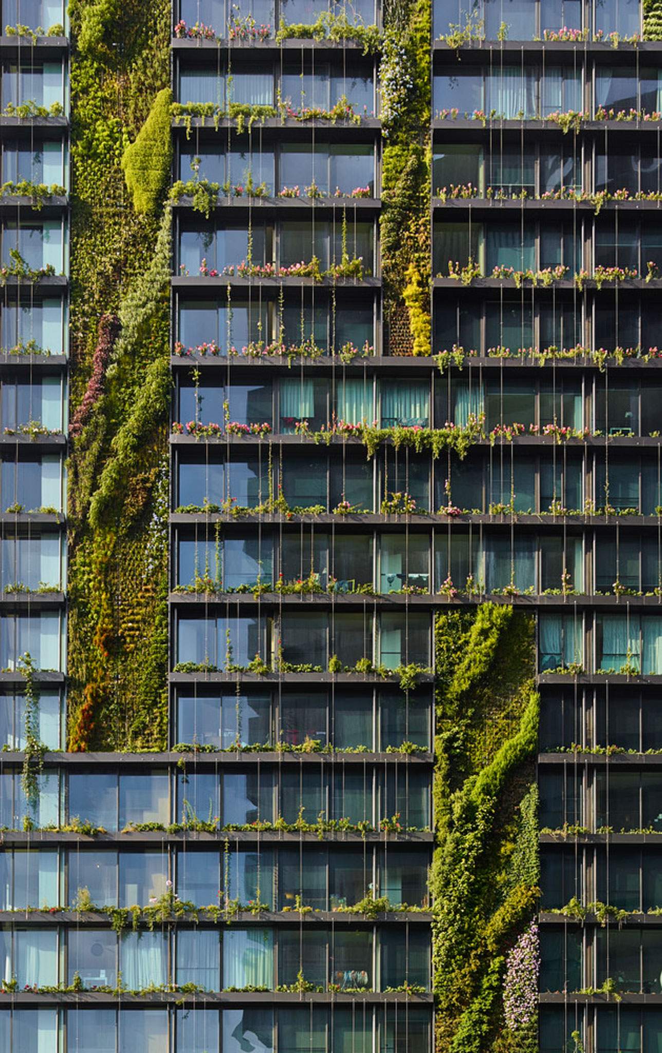 FacadeDetai©Murray Fredericks.jpg