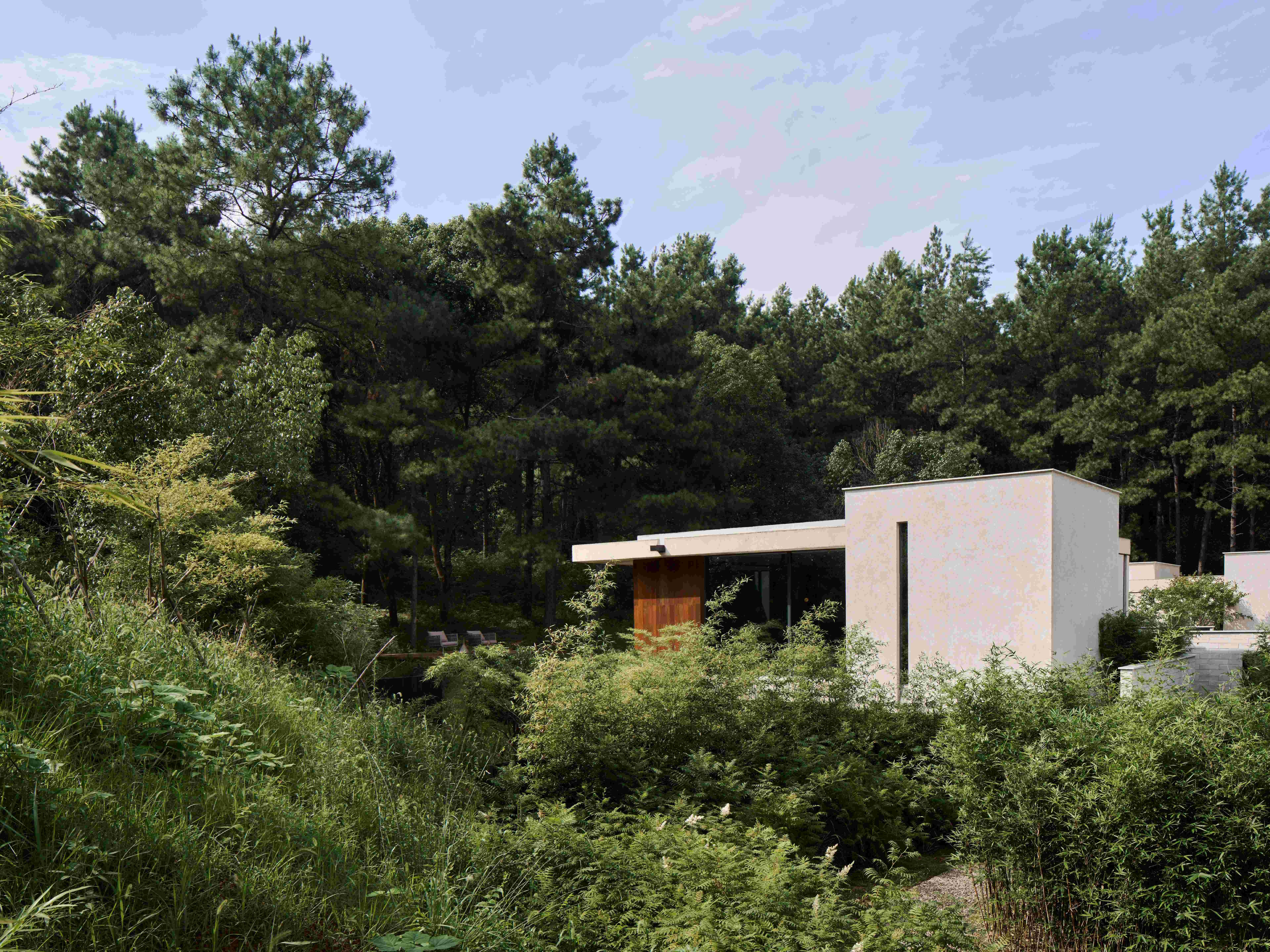 1749622925886008eLWa.jpg 04 Anadu Pine Villa©Seth Powers.jpg