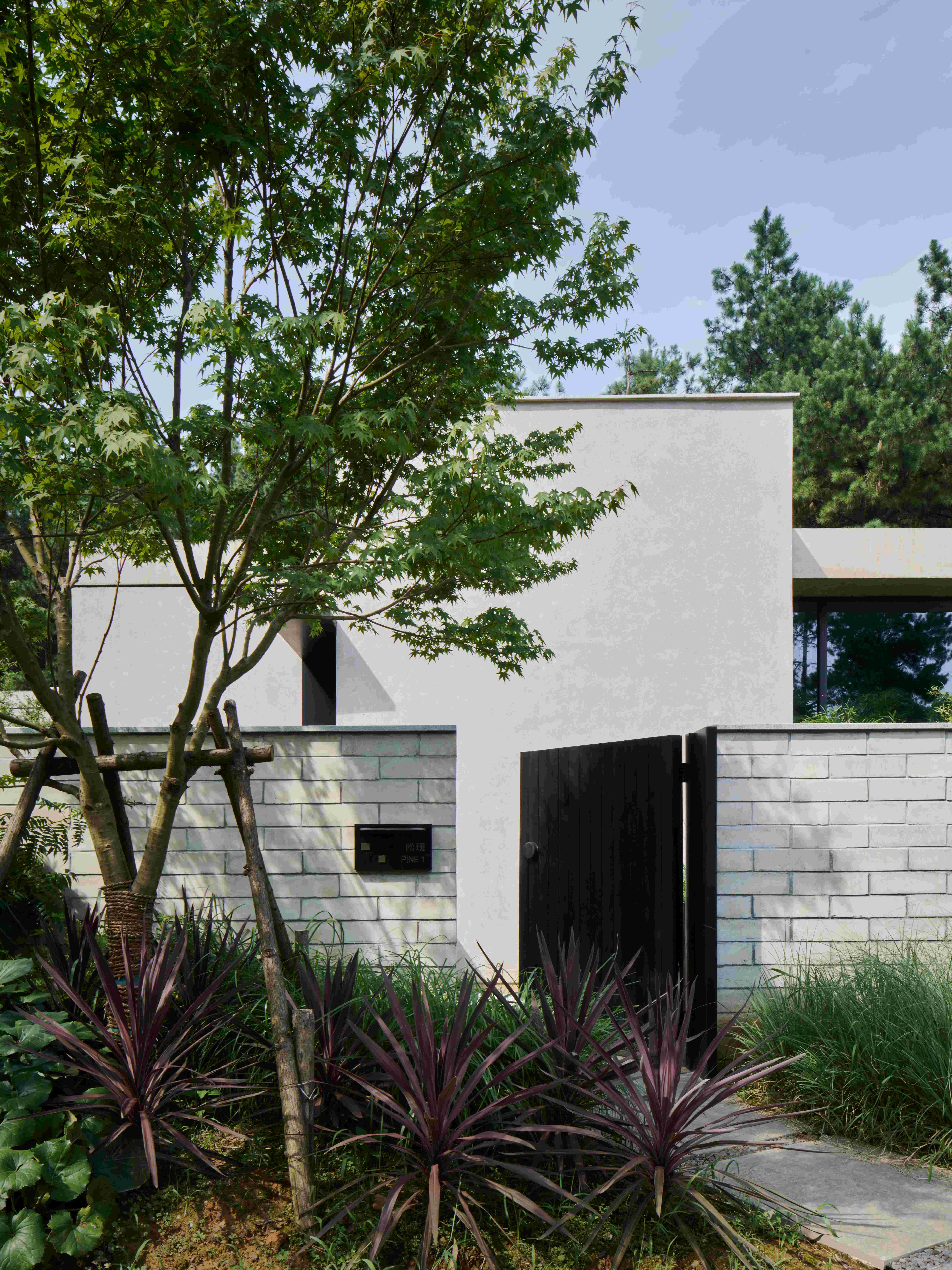 1749791585729578j6hM.jpg 28 Anadu Pine Villa©Seth Powers.jpg