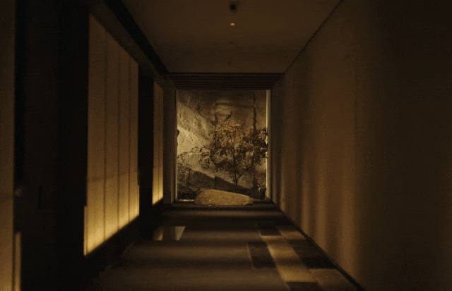 1752478217187177gwD5.gif xmyeditor_61.gif