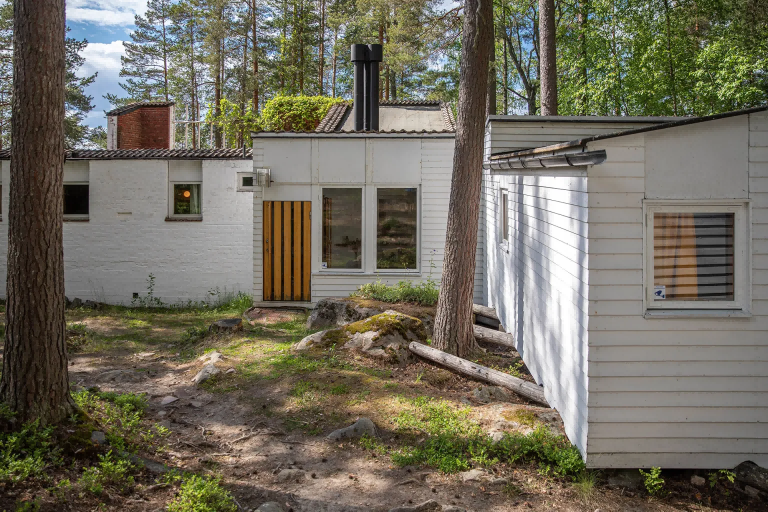 外观© Jussi Toivanen.png