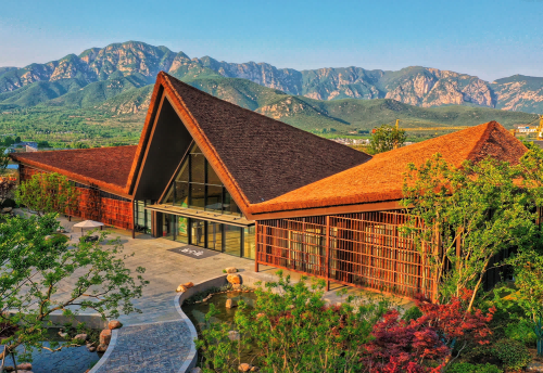 17646684104667221Q46.png 图片11.png