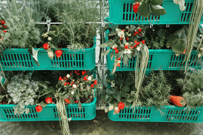 177034437995628624H1.gif Pi7_Gif (9).gif