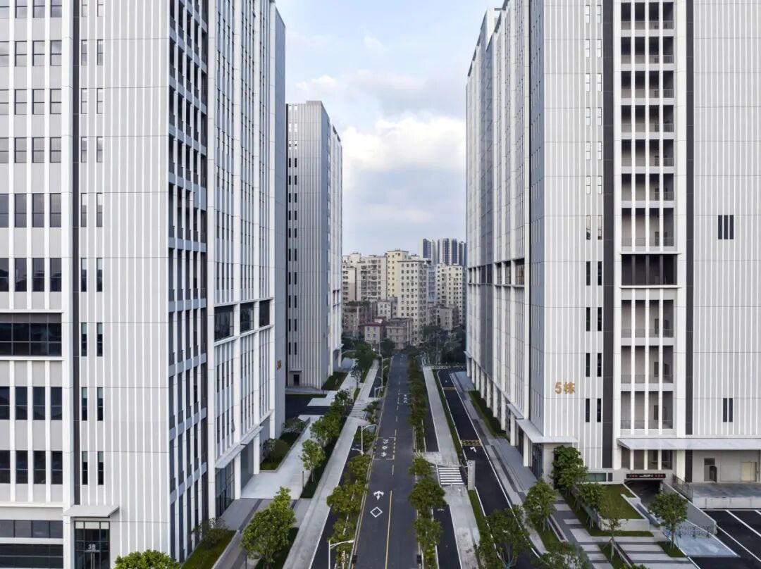 1773121714619121cBQy.jpg 9.jpg