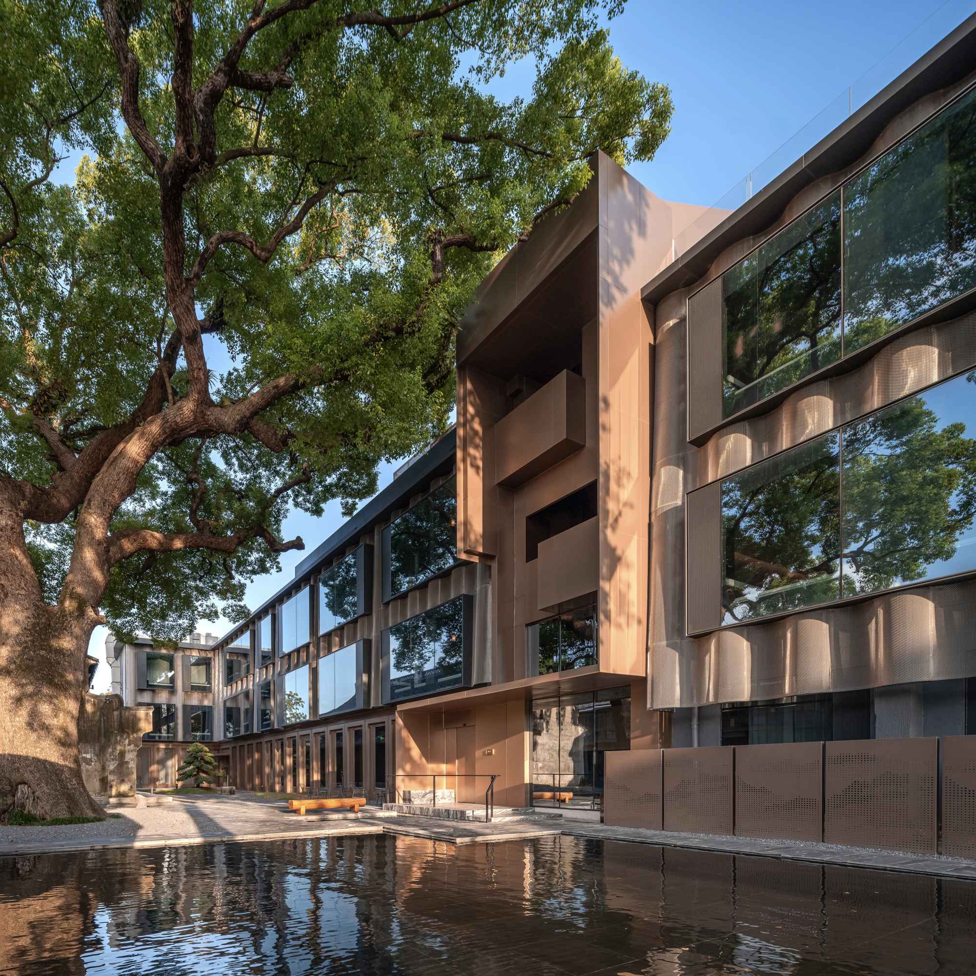 1773902420813810WLcb.jpg 1_ 夕阳下的香樟庭院 Camphor Courtyard at Sunset ©张登星 Zhang Dengxing_1.jpg