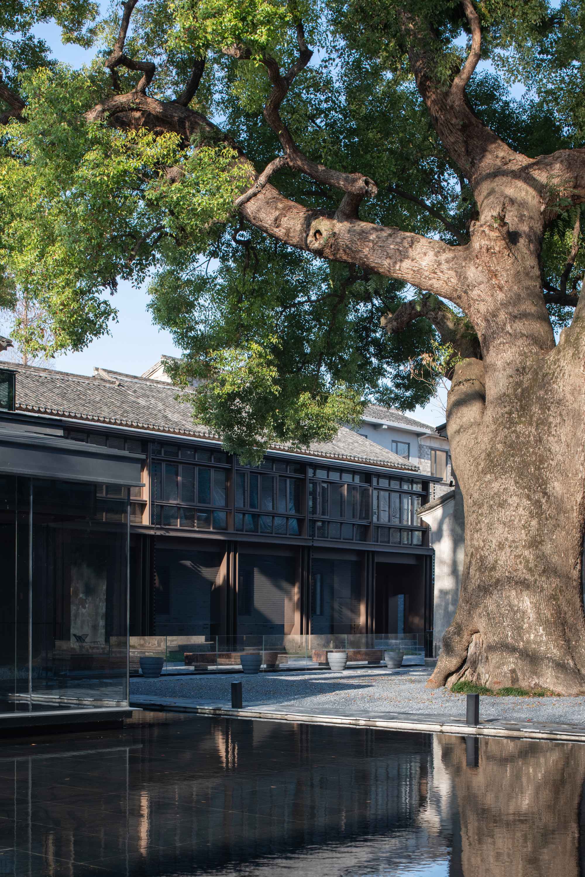 1773902599756139K9Qm.jpg 13_ 从中央庭院看7号楼 View of Building 7 from the Central Courtyard ©白噪音图片社 whitenoisephotos_11.jpg