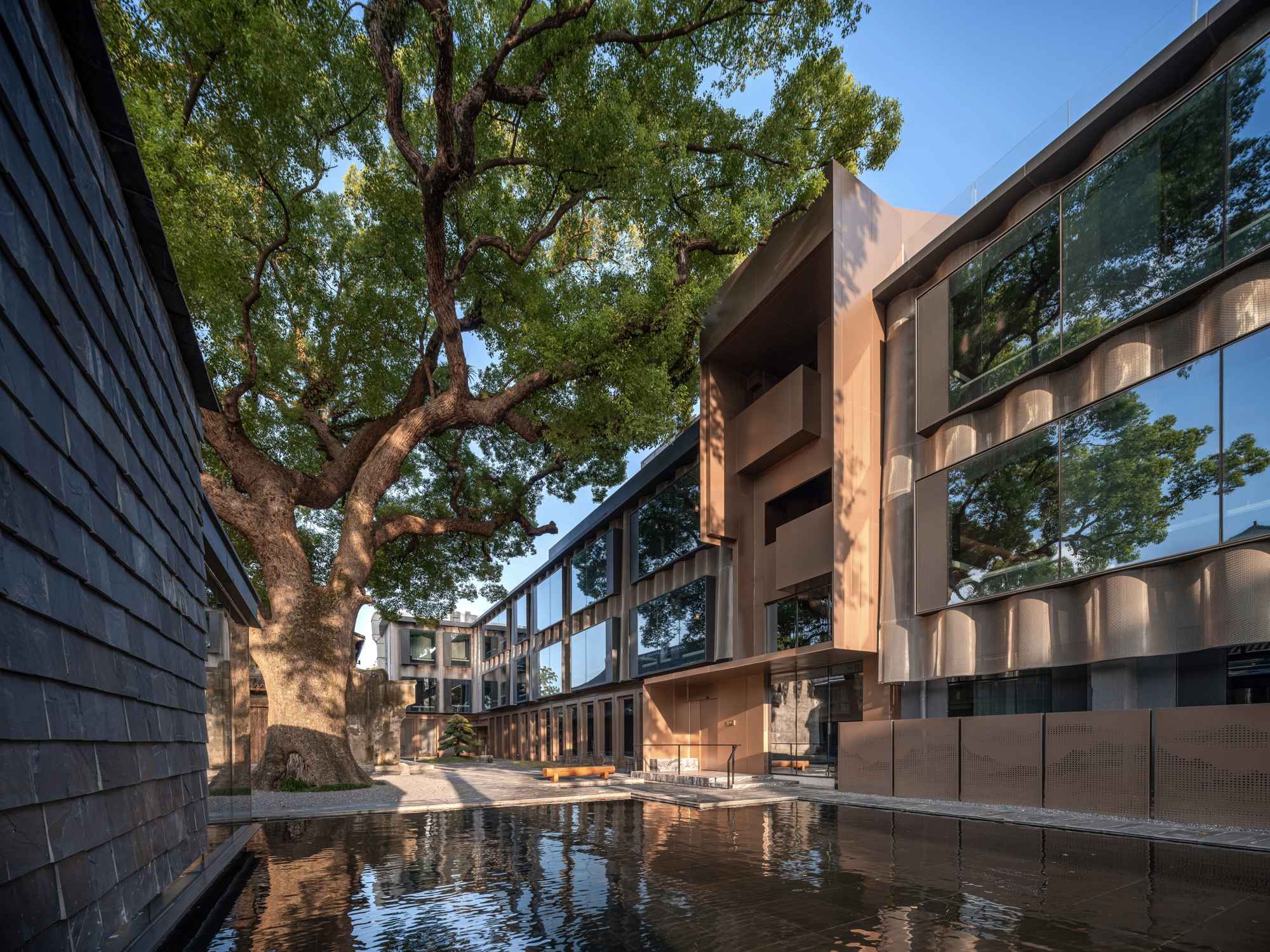 1773902745622374iBUi.jpg 19_ 夕阳下的香樟庭院 Camphor Courtyard at Sunset ©张登星 Zhang Dengxing_16.jpg