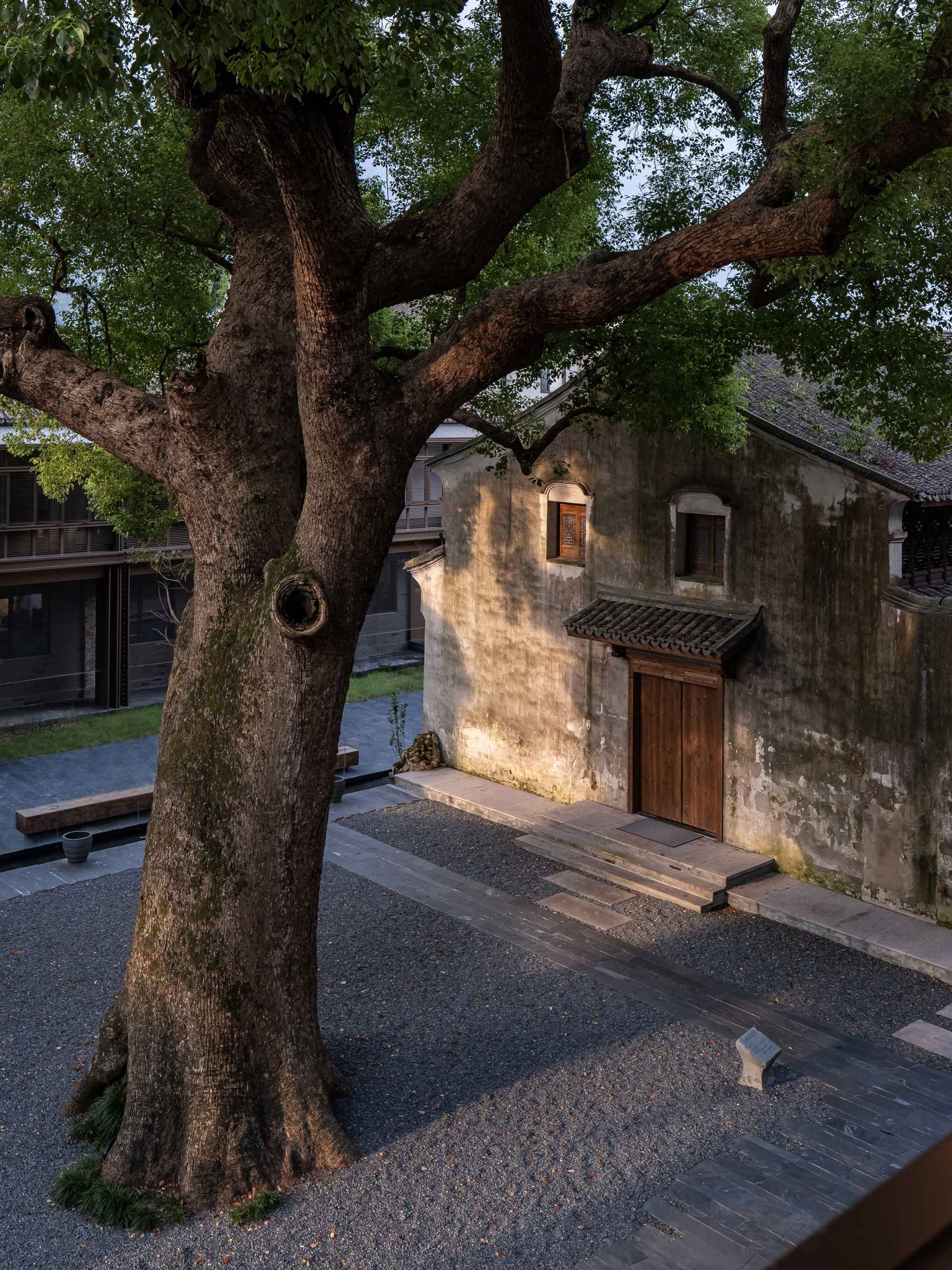 1773902965443489OUpB.jpg 21_ 香樟与古建接待厅 Camphor Courtyard and Historic Building Reception Hall ©张登星 Zhang Dengxing_1.jpg
