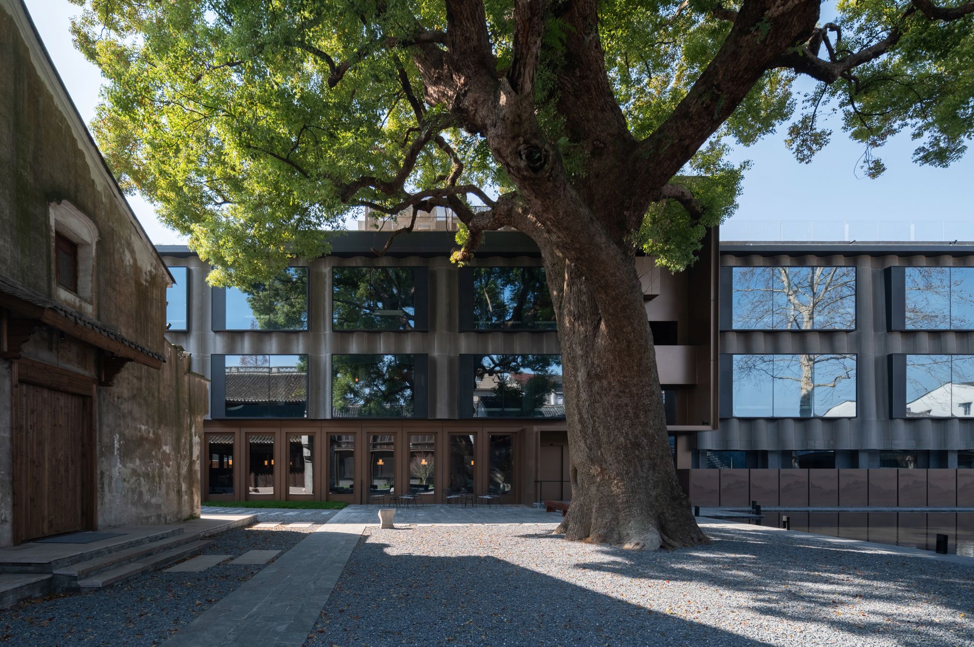 1773903530829768Rd7m.jpg 20_ 香樟庭院 Camphor Courtyard ©白噪音图片社 whitenoisephotos.jpg