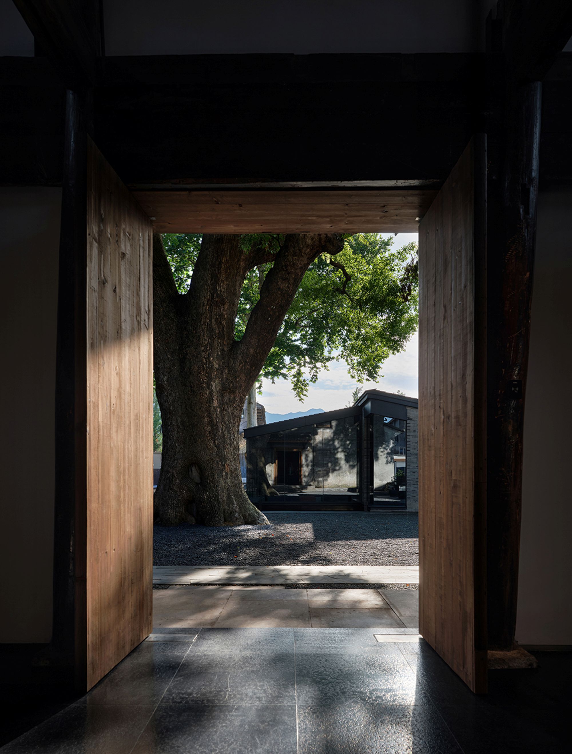 1773904301811593Ctzh.jpg 45_ “开门见树”的接待大堂 Hotel Lobby with a Tree at First Sight ©英盖乐锐 ingallery.jpg