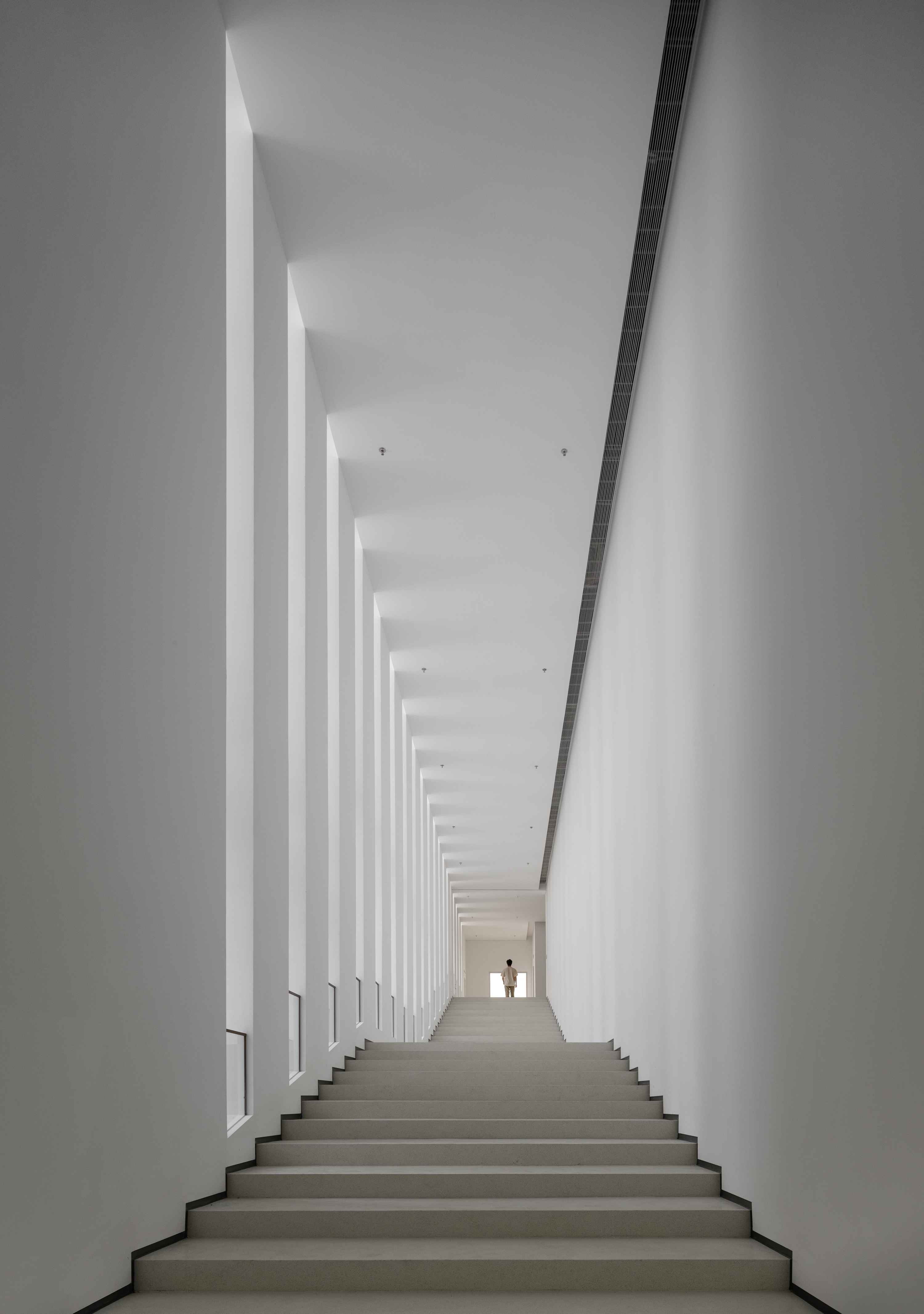 ssmsg_SJ12780-编辑-_山间影像 Shan-jian images_2.jpg