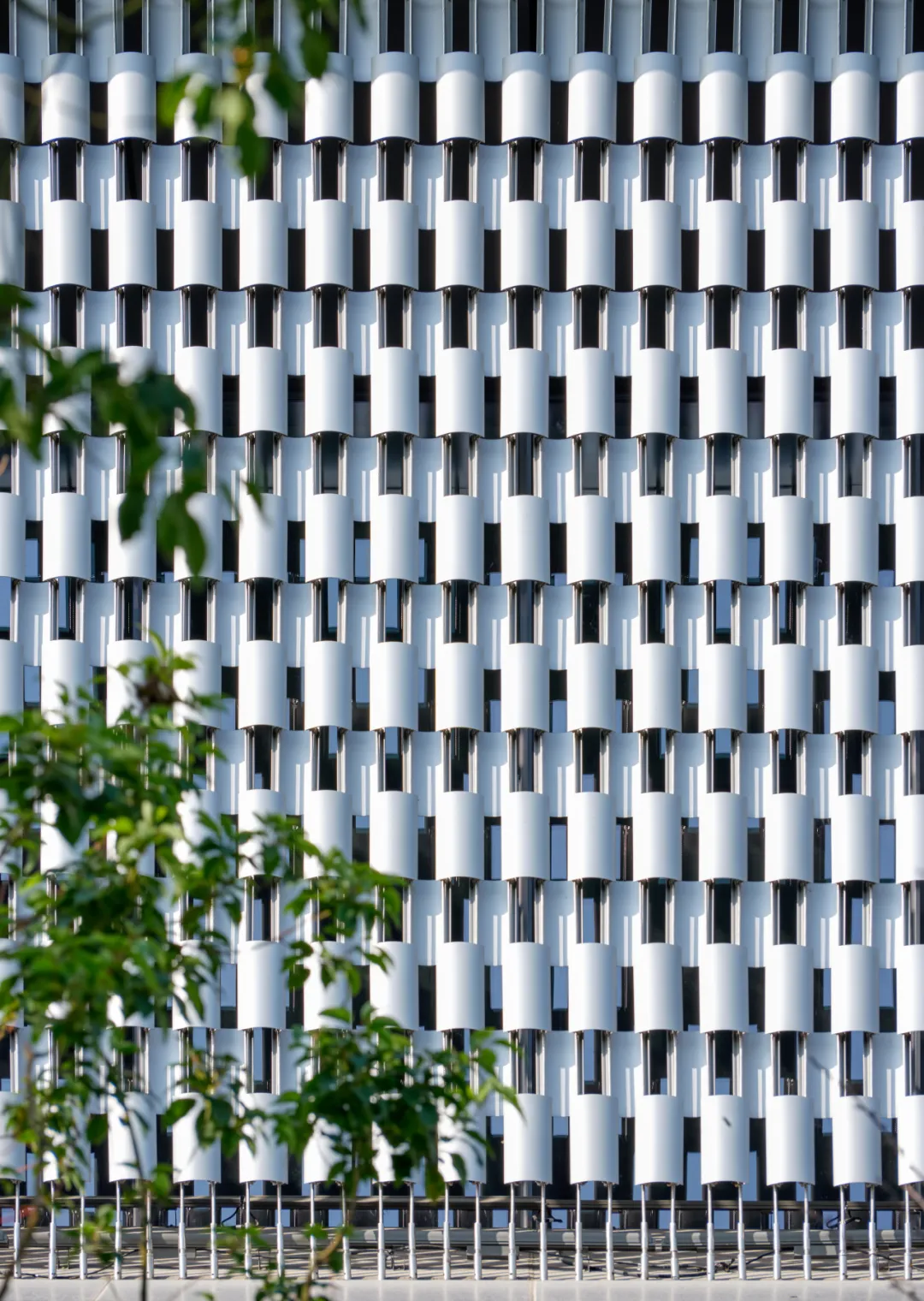 1774939128219718051x.png 3.3.png