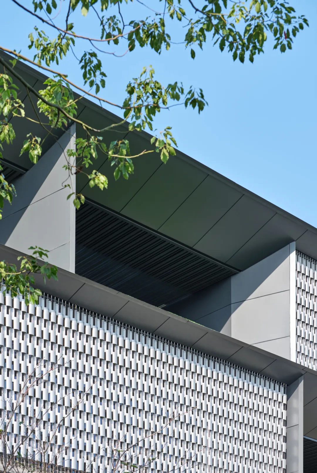 1774939139767252HavI.png 3.4.png