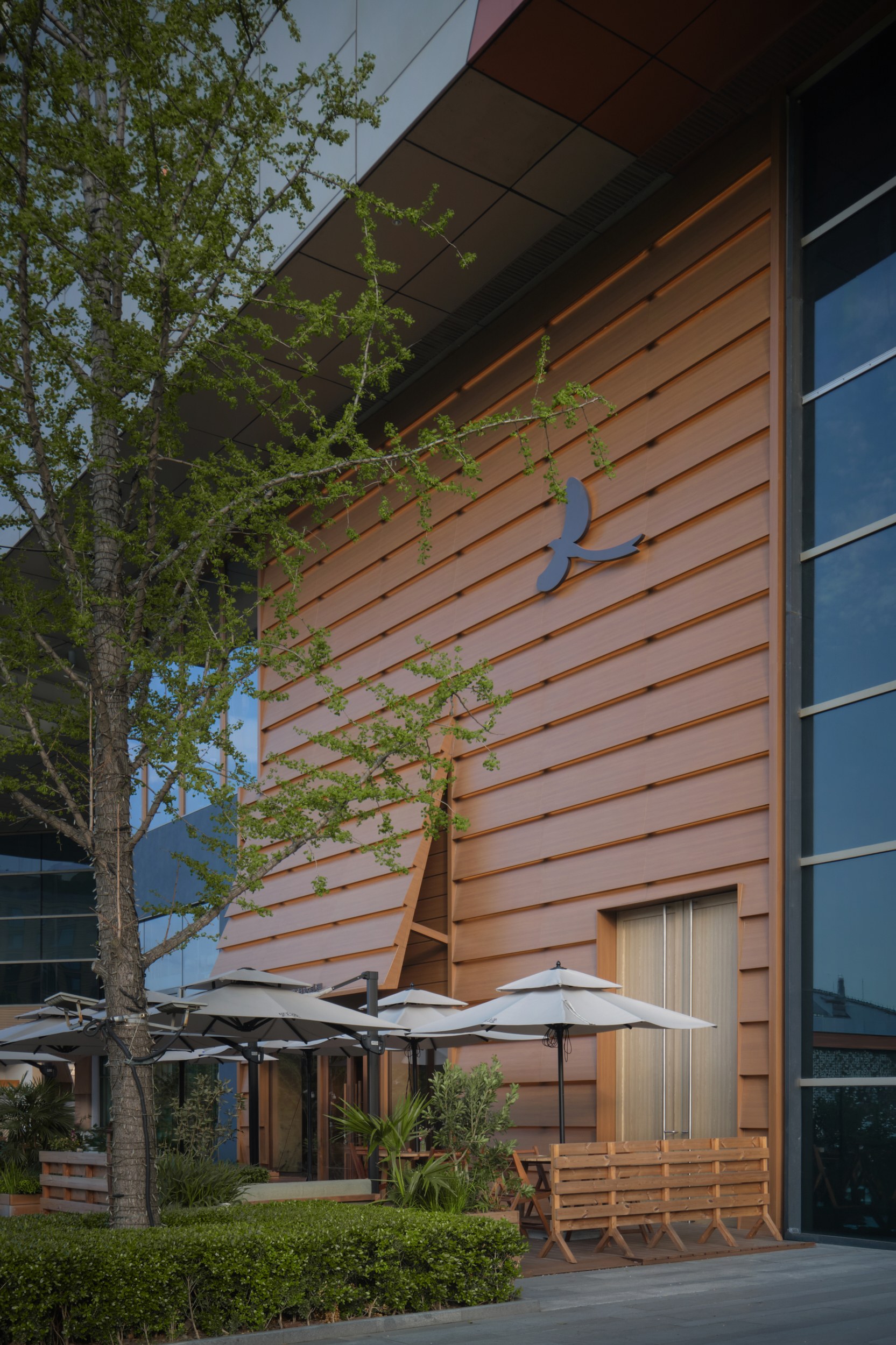 17763036243969792uSA.jpg DSCF0245.jpg