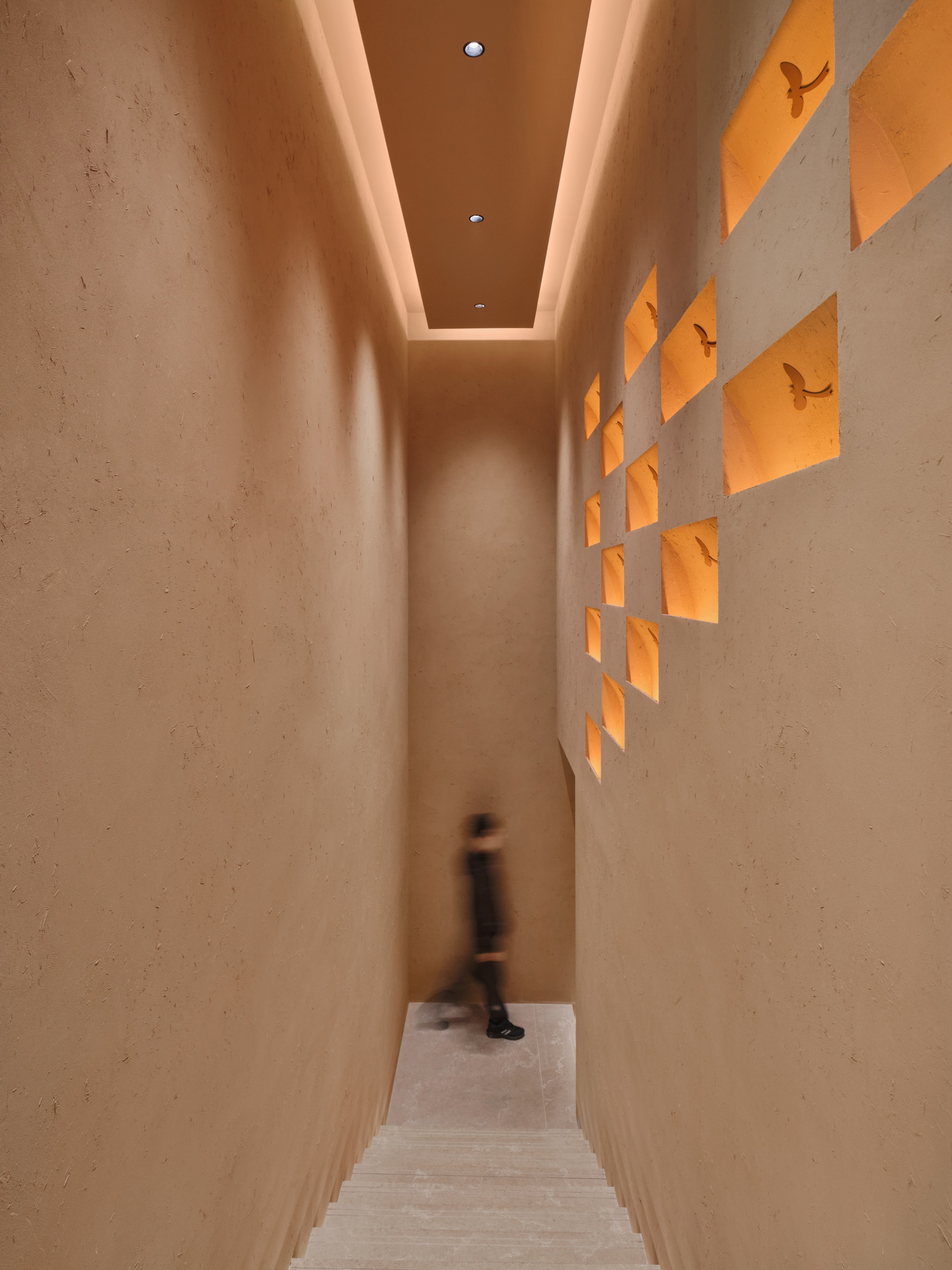 1776304587186710ftsN.jpg _DSF3510.jpg